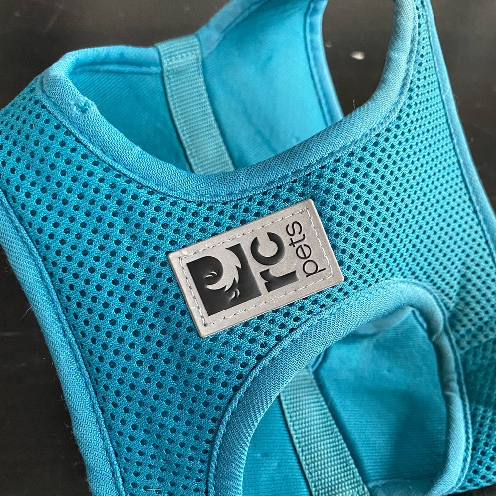 RC Pets small dog harness